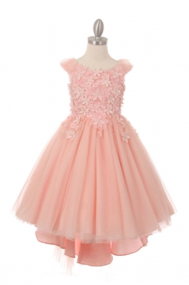 SALE Blush Capped Sleeve Embellished High Low Skirt Dress
