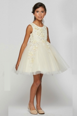Girls Dress Style 9040 - Short Embellished Gown in Champagne