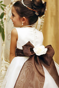 Organza Sashes