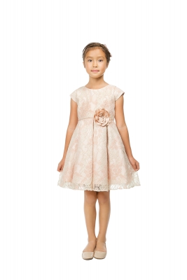 SALE Blush and Sage Floral Vintage Lace Dress