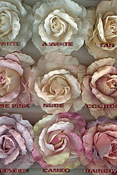 Sashes and Parts