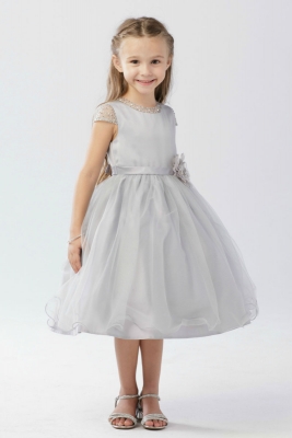 silver girl dress