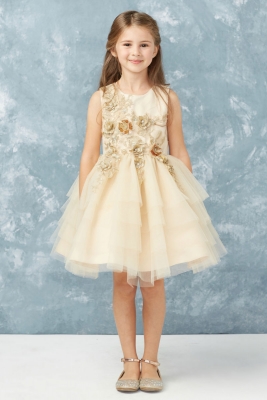 Champagne Short Beaded and Embellished Gown