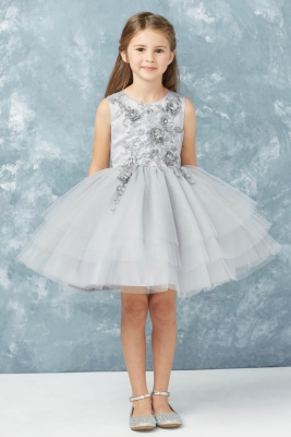 Silver Short Beaded and Embellished Gown
