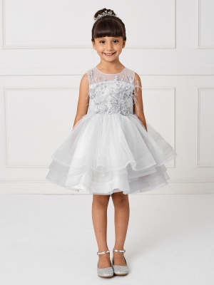 Grey Short Illusion Neckline dress with Horsehair