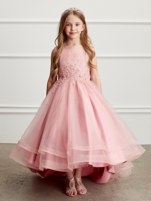 Mauve Illusion Neckline Dress with Lace Applique Bodice and Skirt