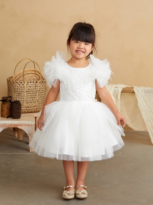 Ivory Ruffle Sleeved Dress with Glitter Lace Bodice