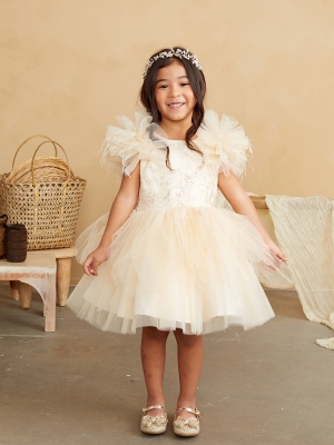Champagne Ruffle Sleeved Dress with Glitter Lace Bodice