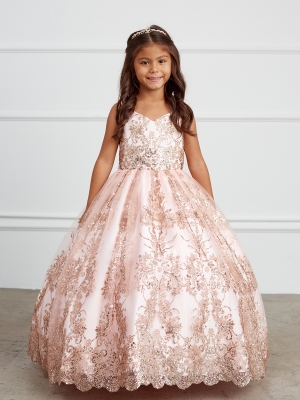 Blush Glitter Mesh Overlay Ball Gown