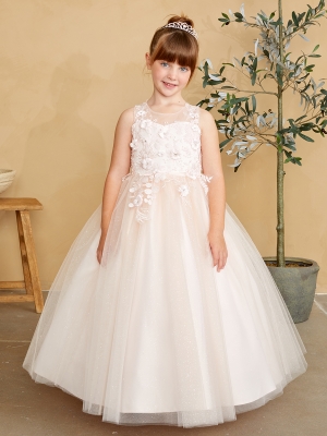 Blush Illusion Neckline Dress with 3D Floral Details