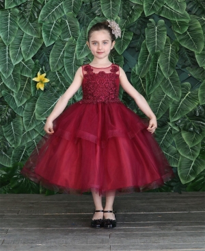 Burgundy Dress with Embroidered Bodice and Layered Skirt