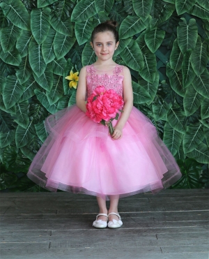 Dusty Pink Dress with Embroidered Bodice and Layered Skirt