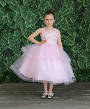 Light Pink Dress with Embroidered Bodice and Layered Skirt