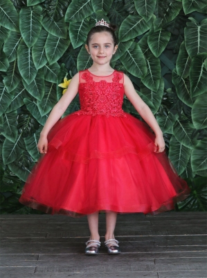 Red Dress with Embroidered Bodice and Layered Skirt