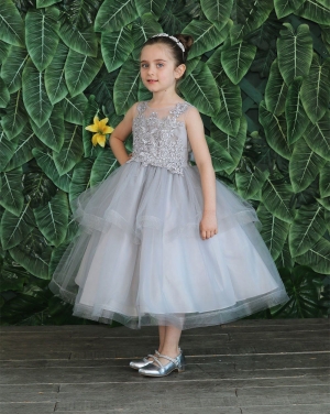 Silver Dress with Embroidered Bodice and Layered Skirt