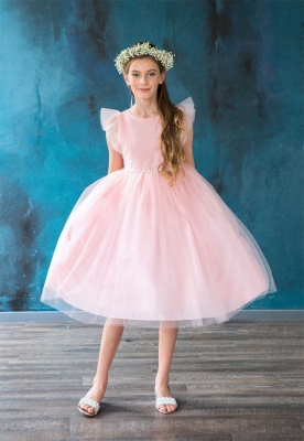 Blush Tulle Dress with Ruffle Sleeves