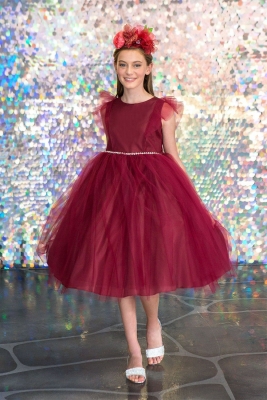 Burgundy Tulle Dress with Ruffle Sleeves