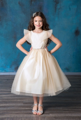 Champagne Tulle Dress with Ruffle Sleeves