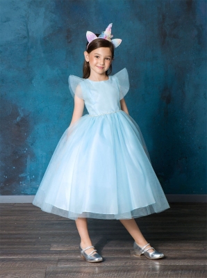 Light Blue Tulle Dress with Ruffle Sleeves