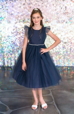 Navy Tulle Dress with Ruffle Sleeves