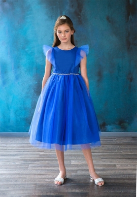 Royal Blue Tulle Dress with Ruffle Sleeves