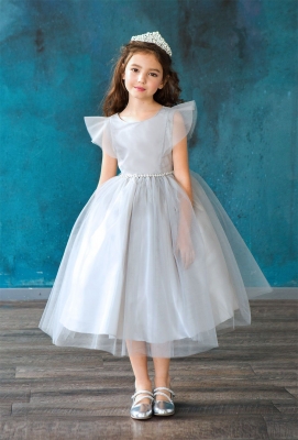 Silver Tulle Dress with Ruffle Sleeves