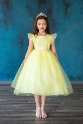 Yellow Tulle Dress with Ruffle Sleeves