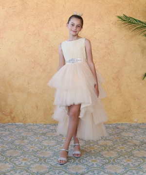 Champagne Lace and Tulle High Low Dress