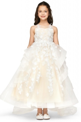 Champagne Elegant Lace Applique High Low Dress with Removable Train