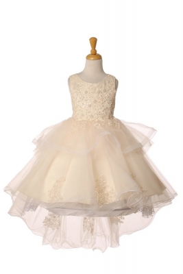 SALE Champagne Beaded High Low Dress with Hand Crafted Lace Applique