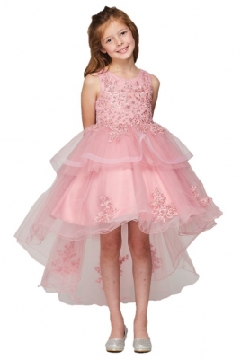 Dusty Rose Beaded High Low Dress with Hand Crafted Lace Applique
