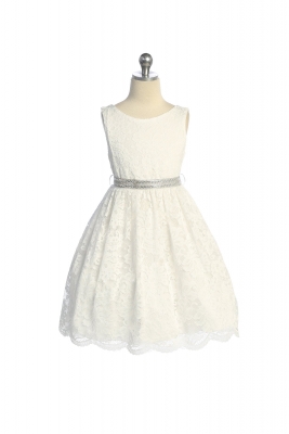 Ivory Stretch Lace Dress