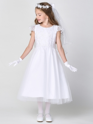 Cap Sleeve Embroidered Tulle Dress - SP189