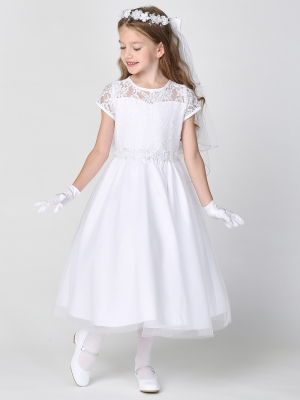 Short Sleeved Dress with Lace Bodice and Tulle Skirt