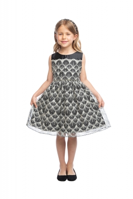 Black Sleeveless Fan Embroidered Sleeveless Dress