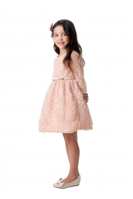 Blush Rosette Mesh Dress with Satin