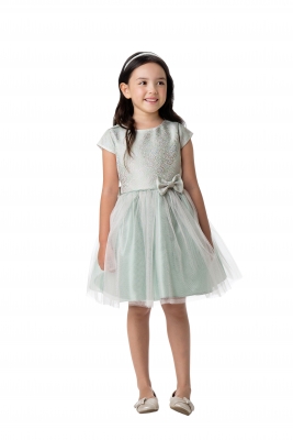 SALE Sage Cap Sleeve Jacquard and Multi-Tone Tulle Dress