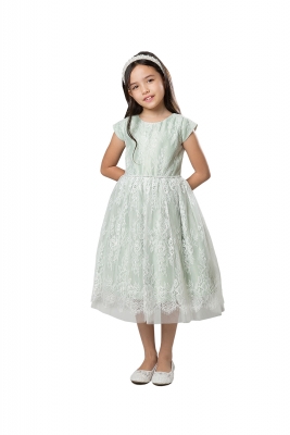 Sage Short Sleeve Soft French Lace Dress