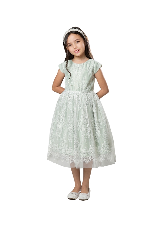 SALE Sage Short Sleeve Soft French Lace Dress