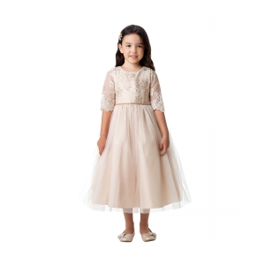 Champagne Lattice Embroidered Satin and Crystal Tulle Dress