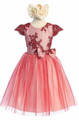 Red Blush Cap Sleeved Embroidered Lace and Tulle Dress