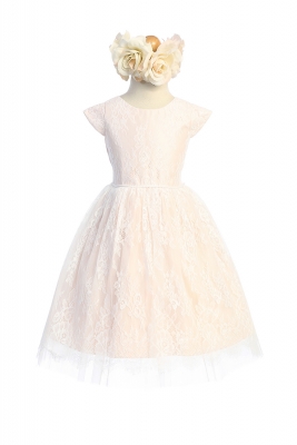 Blush Short Sleeve Soft French Lace Dress