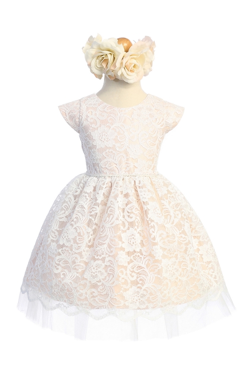 Blush Floral Lace with Peek a Boo Crystal Tulle