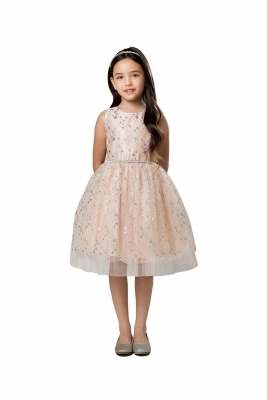 Blush Diamond Sequin Dress with Peek a Boo Crystal Tulle