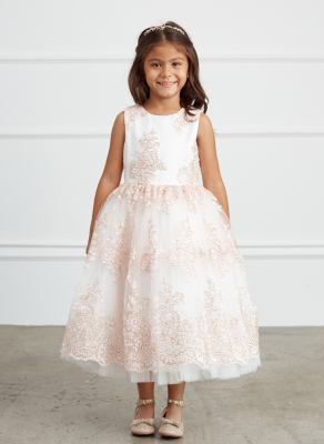 Blush Metallic Lace Embroidered Dress with Tulle Skirt