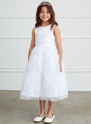 White Metallic Lace Embroidered Dress with Tulle Skirt