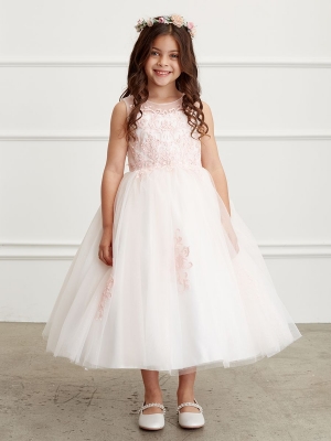 Blush Illusion Neckline Dress with Lace Applique Bodice and Skirt