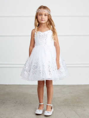 Silver Sequin Dress with Sweetheart Neckline