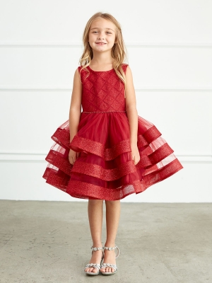 Burgundy Dress with Glitter Horsehair Trim Layered Skirt