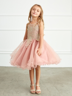Dusty Rose Short Gown with Gold Embroidery Embellishments